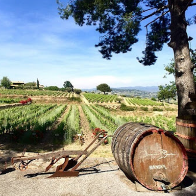 Bandol hos Den Sidste Flaske