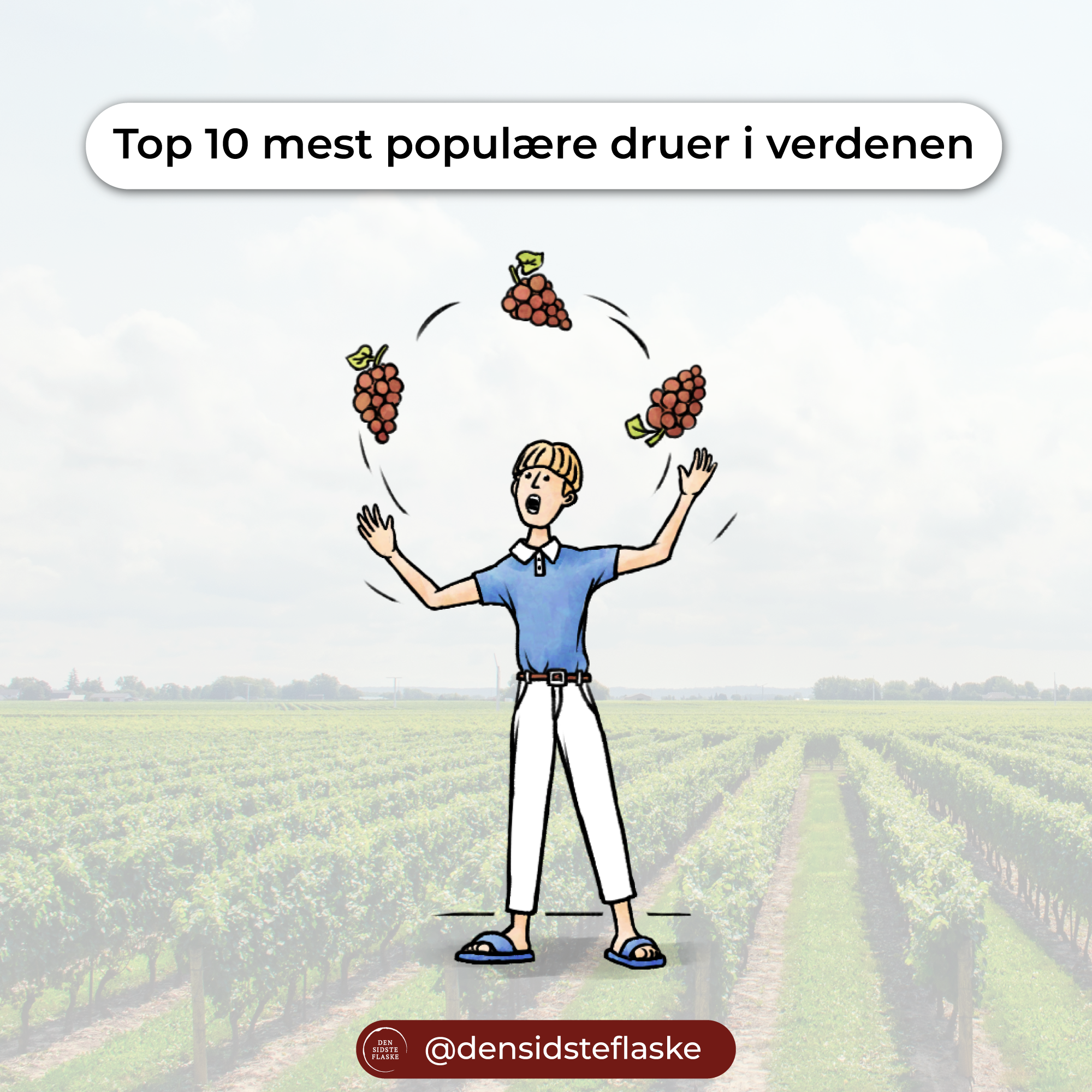 Top 10 mest populære druer i verdenen