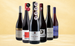 Pinot Noir-Favoriten