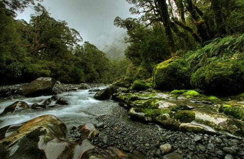 Flot natur i nærheden af gården