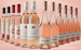 Deutschlands wildestes Rosé-Paket - Version 20.0
