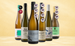 Riesling-Favoriten