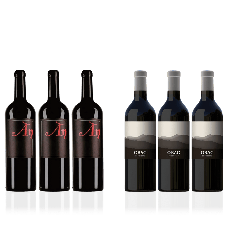 Den Sidste Flaske Rødvins Smagekasse AN vs. Binigrau (6 fl.)