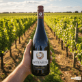 Aotearoa Rødvin Aotearoa Pinot Noir 2022