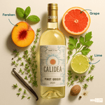 Gran Sasso Hvidvin Calidea Pinot Grigio Terre Siciliane IGT 2023