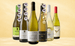 Chardonnay-Favoriten
