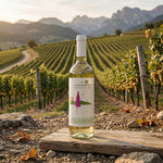 Il Villaggio Hvidvin Il Villaggio Pinot Grigio NV