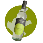 La Cacciatora Hvidvin La Cacciatora - Pinot Grigio 2024 (egen import + tekst)