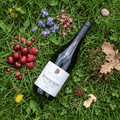 Marillier Pere & Fils Rødvin Marillier Pere & Fils Bourgogne Pinot Noir 2024