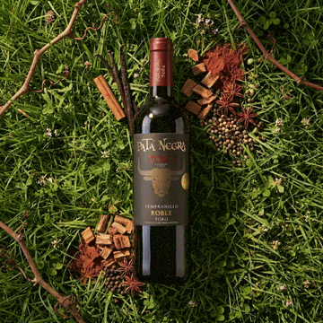 Pata Negra Rødvin Pata Negra Toro Tempranillo Roble 2024