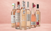 Rosé Bestsellerpaket