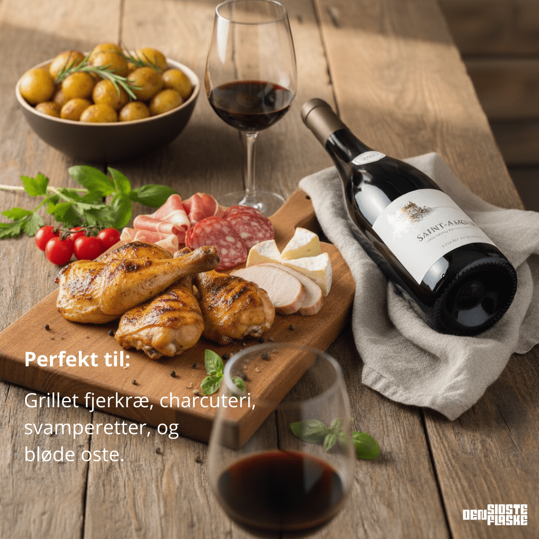 Domaine De Rochebin Rødvin Saint Amour Beaujolais 2022