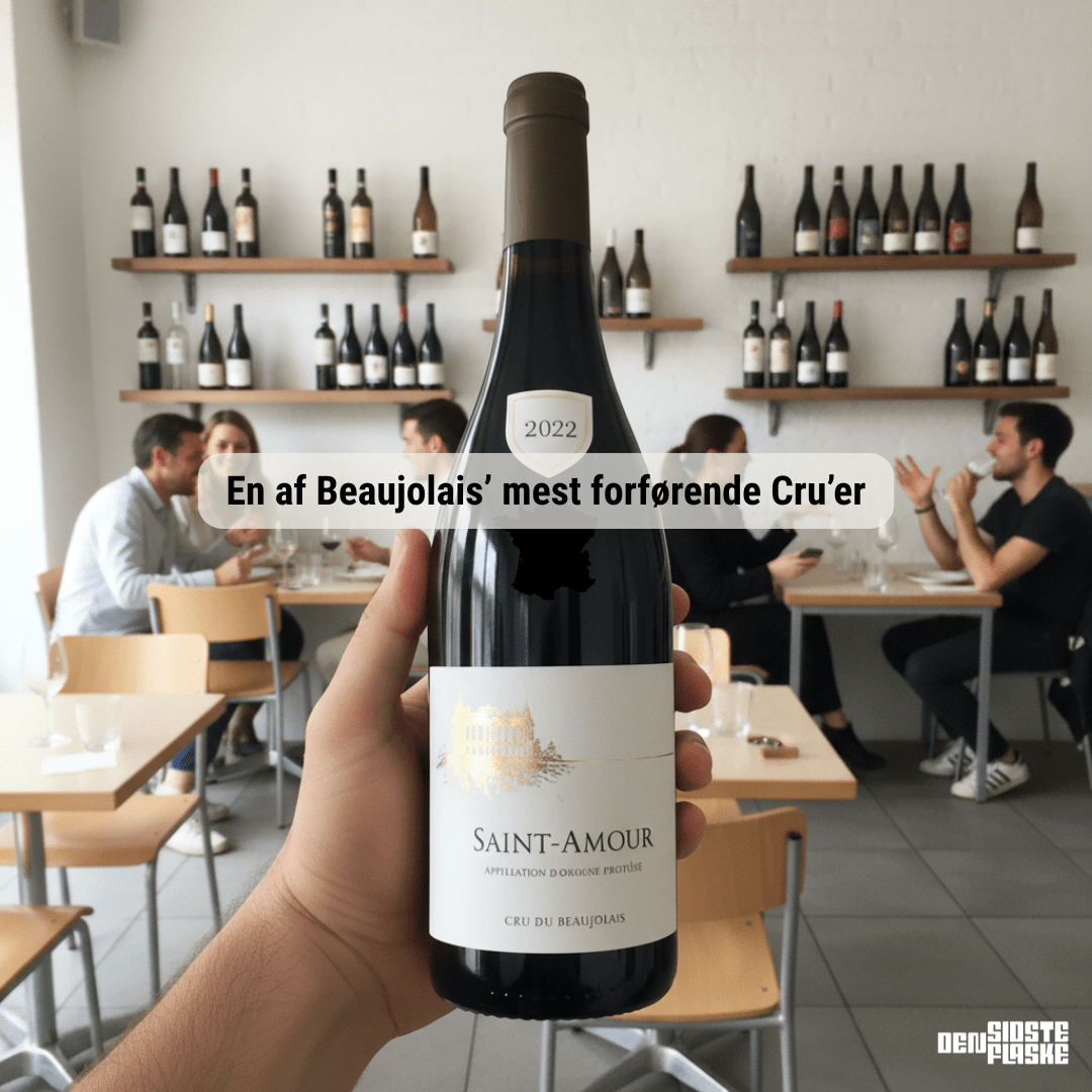 Domaine De Rochebin Rødvin Saint Amour Beaujolais 2022