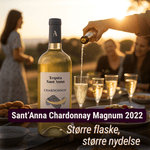 Tenuta sant'anna Hvidvin Sant Anna Chardonnay Venezia Magnum 2022