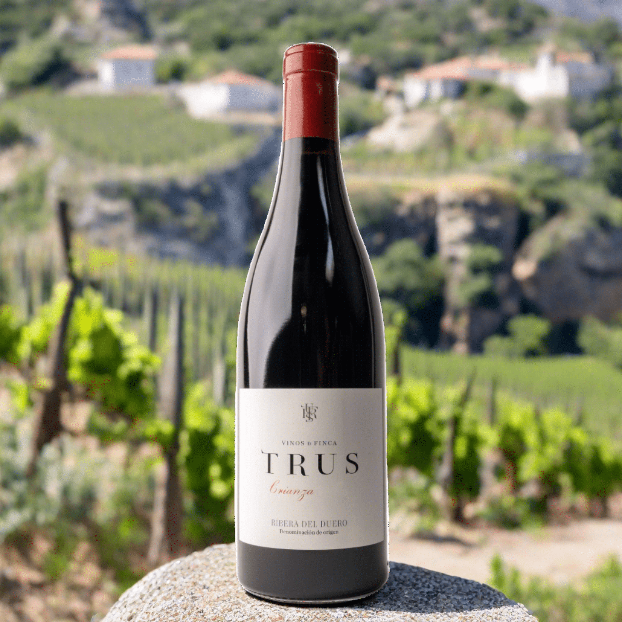 Palacios Vinos De Finca Trus Rødvin Trus Crianza 2020