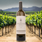 Lionel Osmin & Cie Hvidvin Villa Plage Blanche Lionel Osmin & Cie 2022